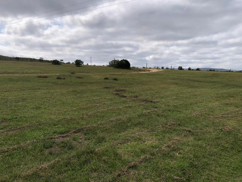 3 Bedroom Property for Sale in Gansbaai Rural Western Cape